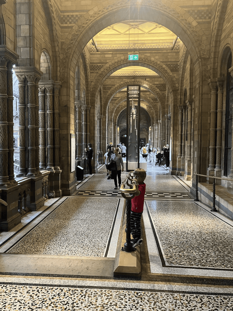 the natural history museum hallway